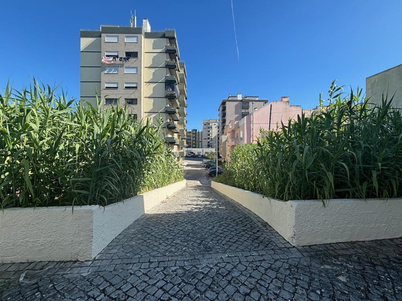 Rosario - Two Bedroom Apart- Buarcos - フィゲイラ・ダ・フォズ エクステリア 写真